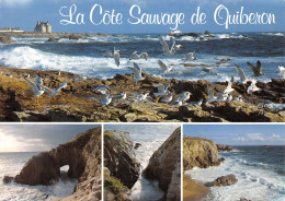 56-QUIBERON-N°T2734-C/0191 - Quiberon