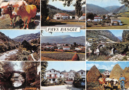 64-PAYS BASQUE-N°T2734-C/0187 - Autres & Non Classés