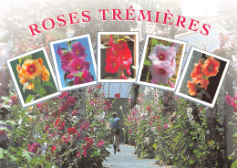 85-COTE ATLANTIQUE ROSES TREMIERES-N°T2734-C/0167 - Autres & Non Classés