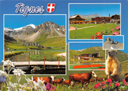 73-TIGNES-N°T2734-C/0099 - Other & Unclassified