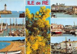 17-ILE DE RE-N°T2734-B/0335 - Ile De Ré