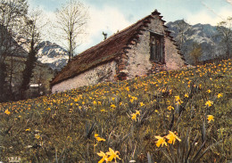 65-PYRENEES BERGERIE -N°T2734-B/0117 - Autres & Non Classés