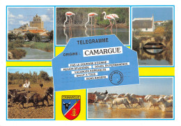 13-EN CAMARGUE-N°T2734-D/0367 - Other & Unclassified