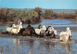 13-EN CAMARGUE-N°T2734-D/0181 - Autres & Non Classés