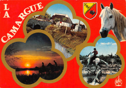 13-EN CAMARGUE-N°T2734-D/0173 - Sonstige & Ohne Zuordnung