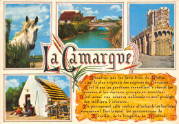 13-EN CAMARGUE-N°T2734-D/0147 - Sonstige & Ohne Zuordnung