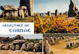 56-CARNAC-N°T2736-B/0149 - Carnac