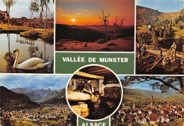 68-VALLEE DE MUNSTER-N°T2736-D/0265 - Other & Unclassified