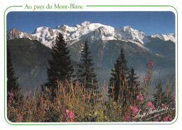 74-PAYS DU MONT BLANC-N°T2737-D/0081 - Andere & Zonder Classificatie