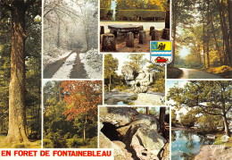 77-FONTAINEBLEAU LA FORET-N°T2737-B/0131 - Fontainebleau