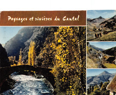 15-DANS LE CANTAL-N°T2738-B/0133 - Autres & Non Classés