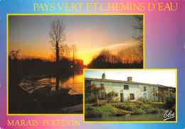 79-MARAIS POITEVIN-N°T2738-A/0049 - Other & Unclassified