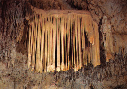 34-SAINT BAUZILLE DE PUTOIS GROTTE DES DEMOISELLES-N°T2738-A/0025 - Autres & Non Classés