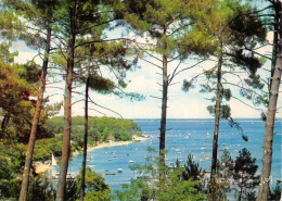 33-BASSIN D ARCACHON-N°T2738-C/0363 - Andere & Zonder Classificatie