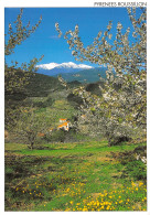 66-PYRENEES ROUSSILLON-N°T2739-C/0237 - Sonstige & Ohne Zuordnung