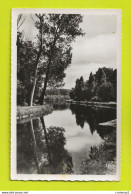 89 AUXERRE N°27 L'Arbre Sec Et Le Canal VOIR DOS En 1956 - Auxerre