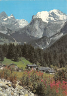 05-DANS LES ALPES-N°T2739-B/0299 - Sonstige & Ohne Zuordnung