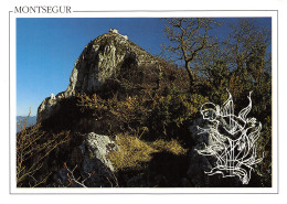 09-MONTSEGUR-N°T2740-B/0295 - Other & Unclassified
