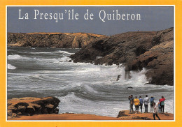 56-QUIBERON-N°T2740-A/0367 - Quiberon