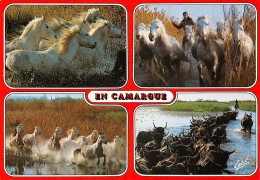 13-EN CAMARGUE-N°T2740-A/0317 - Sonstige & Ohne Zuordnung