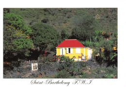 971-ANTILLES FRANCAISE SAINT BARTHELEMY-N°T2740-A/0195 - Andere & Zonder Classificatie