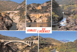 34-GORGES DE L HERAULT-N°T2740-A/0193 - Autres & Non Classés