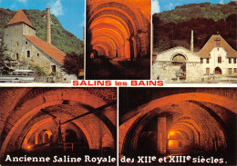 39-SALINS LES BAINS-N°T2740-A/0179 - Other & Unclassified
