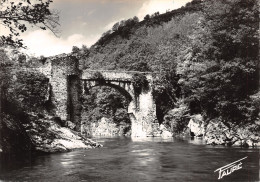 09-ARIEGE PONT DU DIABLE-N°T2741-A/0255 - Sonstige & Ohne Zuordnung