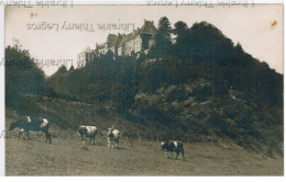 Carte Photo WILTZ N°2 Le Château - Wiltz