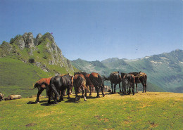 09-COL D AGNES-N°T2740-D/0049 - Autres & Non Classés