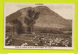 63 Pacage De Moutons Au Pied Du PUY DE DÔME Alt 1465m N°590 VOIR DOS - Veeteelt