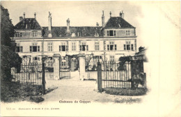 Chateau De Coppet - Coppet