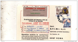 1982 CARTOLINA CON ANNULLO CETRARO MARINA COSENZA - 1981-90: Storia Postale