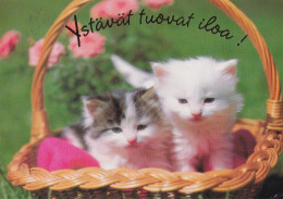 Postal Stationery - Cats - Kittens In The Basket - Red Cross 1994 - Suomi Finland - Postage Paid - Postwaardestukken