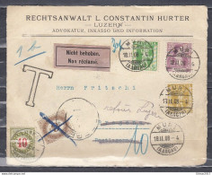 Briefstuk Van Muri (Aargau) Naar Bregens - Lettres & Documents