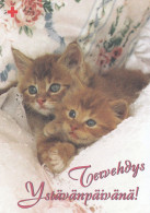 Postal Stationery - Cats - Kittens - Greetings On Valentine's Day - Red Cross 1999 - Suomi Finland - Postage Paid - Enteros Postales
