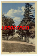 Delcampe - PIANCASTAGNAIO - INGRESSO AL PAESE F/GRANDE VIAGGIATA  ANIMATA - Siena