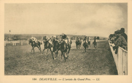 * DEAUVILLE * PLAGE FLEURIE * ARRIVEE DU GRAND PRIX * HIPPISME * COURSE * ANIMEE * EDIT. L.L. * 184 - Deauville