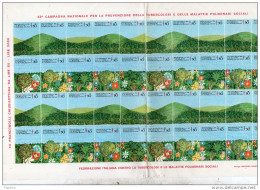 43°  CAMPAGNA NAZIONALE PER LA PREVENZIONE DELLA TUBERCOLOSI E DELLE MALATTIE POLMONARI SOCIALI - Vignetten (Erinnophilie)