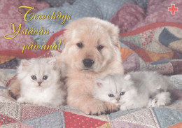 Postal Stationery - Cats - Kittens With Dog Puppy - Red Cross 1999 - Suomi Finland - Postage Paid - Enteros Postales