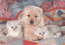 Postal Stationery - Cats - Kittens With Dog Puppy - Red Cross 1997 - Suomi Finland - Postage Paid - Postwaardestukken