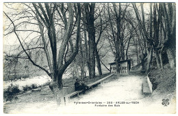 ARLES-SUR-TECH - Fontaine Des Buis - Sonstige & Ohne Zuordnung