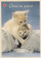 Postal Stationery - Cats - Kittens - Flowers - Balls Of Yarn - Red Cross 2003 - Suomi Finland - Postage Paid - Postwaardestukken