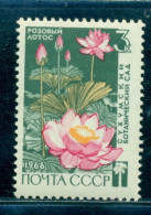 Russia 1966 Indian Lotus,Nelumbo Nucifera,Sukhumi Botanical Garden,Mi.3235, MNH - Neufs