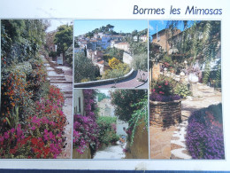 Bormes Les Mimosas    Multivues    CP240260 - Bormes-les-Mimosas