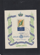 ÄGYPTEN - EGY-PT - EGYPTIAN - EGITTO -  GEBURT DES KRON PRINZIN AHMED FUAD 1951 FDC CANCEL - Unused Stamps