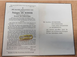 DP - Pelagie De Ridder - De Strijcker - Borchtlombeek 1889 - 1955 - Obituary Notices