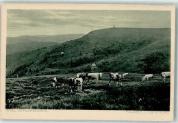 39546621 - Feldberg , Schwarzwald - Feldberg