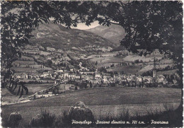 ITALIE (EMILIE ROMAGNE). PIEVEPELAGO. PANORAMA. 1952. - Altri & Non Classificati