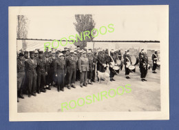 LOT DE 3 PHOTOS - MAROC - 1ER REGIMENT DE TIRAILLEURS MAROCAINS - ADIEUX AU COMMANDANT MINAT(?) ET DIVERS - 1953 - Guerre, Militaire